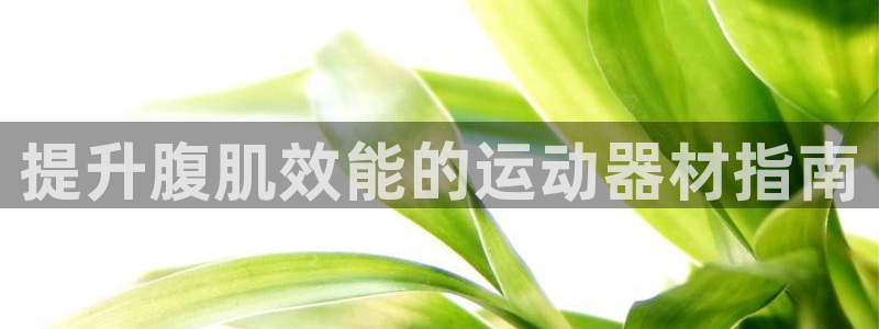 意昂3娱乐首页官网下载：提升腹肌效能的运动器材指南