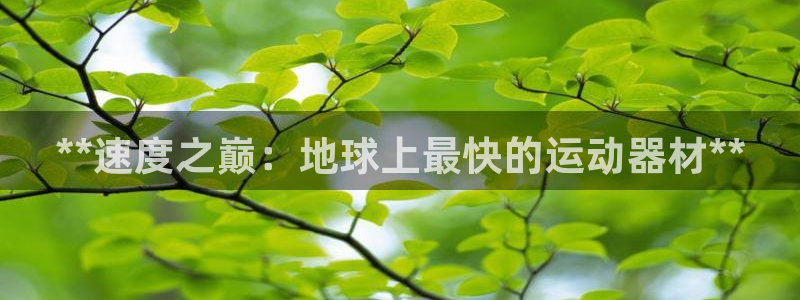 意昂3娱乐首页网站大全：**速度之巅：地球上最快的运