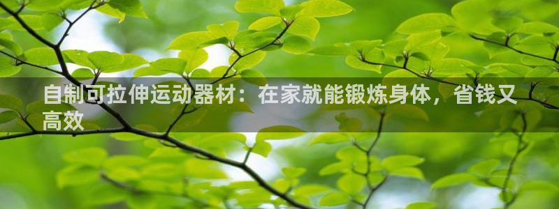 意昂3娱乐下载：自制可拉伸运动器材：在家就能锻炼身体，省钱又