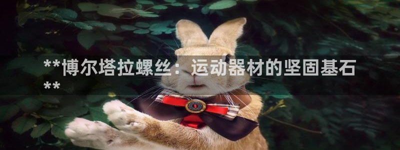 意昂3集团E.ON:**博尔塔拉螺丝:运动器材的坚固基石
*