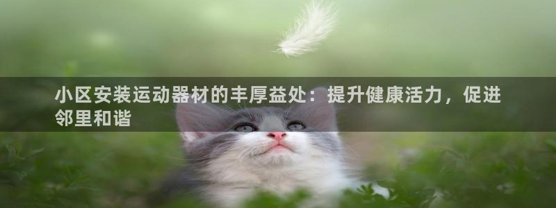 意昂体育3招商电话是多少啊:小区安装运动器材的丰厚益处:提升